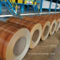 PPGI Prepated Galvanized Steel Coil